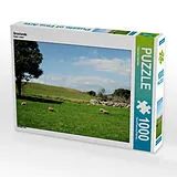 CALVENDO Puzzle Graslands | 1000 Teile Lege-Größe 64x48cm Foto-Puzzle für glückliche Stunden Spiel