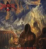 Blackevil Vinyl Forever Baptised In Eternal Fire