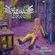 Cryptic Brood CD Necrotic Flesh Bacteria