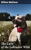 E-Book (epub) The Lure of the Labrador Wild von Dillon Wallace