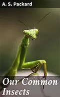 E-Book (epub) Our Common Insects von A. S. Packard