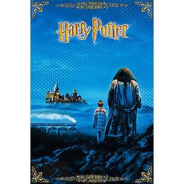 Harry Potter Stein Der Weisen Ebook