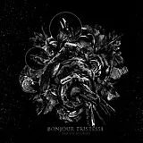 Bonjour Tristesse Vinyl Par Un Sourire