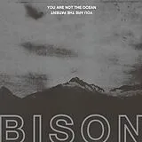 Bison Vinyl You Are Not The Ocean You Are The Patient