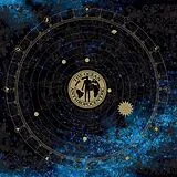 The Ocean Vinyl Anthropocentric (repress 2026)