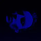 FERN Maxi Single (analog) Fern Ep