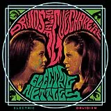 Druids Of The Gue Charette , Electric Nettles Vinyl Electric Druidism