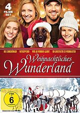 Weihnachtliches Wunderland 4 Filme Box DVD