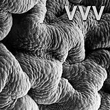 VVV Musikkassette Shadow World (mc)