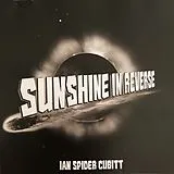 Ian "spider" Cubitt LP (analog) Sunshine In Reverse