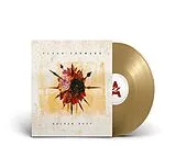 Flash Forward Vinyl Golden Rust