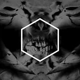 Lustmord LP (analog) Other