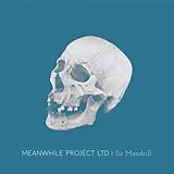 Meanwhile Project Ltd LP (analog) Sir Mandrill
