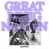 Pogendroblem Vinyl Great Resignation