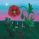 Euroteuro Vinyl Magic (180g Vinyl)