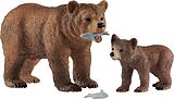 Grizzlybär-Mutter mit Jungem Spiel