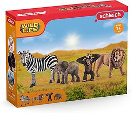 Wild Life Starter-Set Spiel