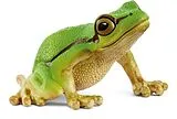 Schleich 14882 - Wild Life, Europäischer Laubfrosch, Höhe: 3 cm Spiel