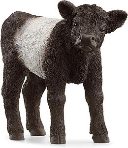 Schleich 13969 - Farm World, Galloway Kalb, Tierfigur, Länge: 8,3 cm Spiel