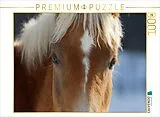 CALVENDO Puzzle Haflinger | 1000 Teile Lege-Größe 64x48cm Foto-Puzzle für glückliche Stunden Spiel