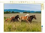 CALVENDO Puzzle Pferdeherde auf der Weide | 1000 Teile Lege-Größe 64x48cm Foto-Puzzle für glückliche Stunden Spiel