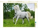 CALVENDO Puzzle Lipizzaner Hengst Pluto Darina | 1000 Teile Lege-Größe 64x48cm Foto-Puzzle für glückliche Stunden Spiel