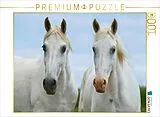 CALVENDO Puzzle Stutenporträt | 1000 Teile Lege-Größe 64x48cm Foto-Puzzle für glückliche Stunden Spiel