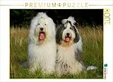 CALVENDO Puzzle Bobtail Pärchen | 1000 Teile Lege-Größe 64x48cm Foto-Puzzle für glückliche Stunden Spiel
