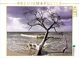 CALVENDO Puzzle Der Winter ist ein Künstler | 1000 Teile Lege-Größe 64x48cm Foto-Puzzle für glückliche Stunden Spiel