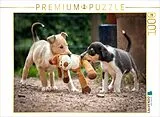 CALVENDO Puzzle Kurzhaarcollie-Welpen | 1000 Teile Lege-Größe 64x48cm Foto-Puzzle für glückliche Stunden Spiel