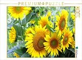 CALVENDO Puzzle Sonnenblumen | 1000 Teile Lege-Größe 64x48cm Foto-Puzzle für glückliche Stunden Spiel