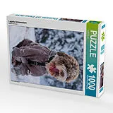 CALVENDO Puzzle Lagotto Schneealarm | 1000 Teile Lege-Größe 64x48cm Foto-Puzzle für glückliche Stunden Spiel