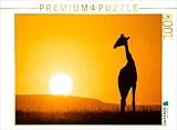 CALVENDO Puzzle Giraffe vor aufgehender Sonne | 1000 Teile Lege-Größe 64x48cm Foto-Puzzle für glückliche Stunden Spiel