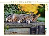 CALVENDO Puzzle Ruhende Katze | 1000 Teile Lege-Größe 64x48cm Foto-Puzzle für glückliche Stunden Spiel