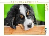 CALVENDO Puzzle Kann man das fressen? | 1000 Teile Lege-Größe 64x48cm Foto-Puzzle für glückliche Stunden Spiel