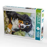 CALVENDO Puzzle Eine süße Junghündin | 1000 Teile Lege-Größe 64x48cm Foto-Puzzle für glückliche Stunden Spiel
