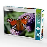 CALVENDO Puzzle Unter vier Augen | 1000 Teile Lege-Größe 64x48cm Foto-Puzzle für glückliche Stunden Spiel
