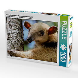 Kleiner Ameisenbär (Tamandua tetradactyla) (Puzzle) Spiel