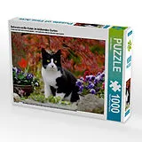 CALVENDO Puzzle Schwarz-weiße Katze im blühenden Garten | 1000 Teile Lege-Größe 64x48cm Foto-Puzzle für glückliche Stunden Spiel