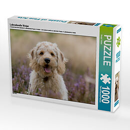 Labradoodle Welpe (Puzzle) Spiel