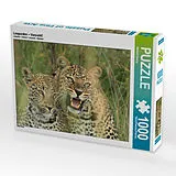 CALVENDO Puzzle Leoparden - Vorsicht! | 1000 Teile Lege-Größe 64x48cm Foto-Puzzle für glückliche Stunden Spiel
