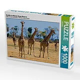 CALVENDO Puzzle Giraffen im Moremi Game Reserve | 1000 Teile Lege-Größe 64x48cm Foto-Puzzle für glückliche Stunden Spiel