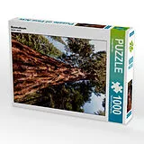 CALVENDO Puzzle Mammutbaum | 1000 Teile Lege-Größe 64x48cm Foto-Puzzle für glückliche Stunden Spiel
