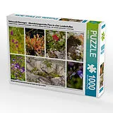 CALVENDO Puzzle Sehnsucht Norwegen - Abwechslungsreiche Flora in allen Landschaften | 1000 Teile Lege-Größe 64x48cm Foto-Puzzle für glückliche Stunden Spiel