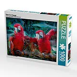 Roter Ara Papagei (Puzzle) Spiel