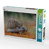 CALVENDO Puzzle Igel | 1000 Teile Lege-Größe 64x48cm Foto-Puzzle für glückliche Stunden Spiel