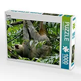 CALVENDO Puzzle Faultier | 1000 Teile Lege-Größe 64x48cm Foto-Puzzle für glückliche Stunden Spiel