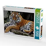 CALVENDO Puzzle Tiger | 1000 Teile Lege-Größe 64x48cm Foto-Puzzle für glückliche Stunden Spiel