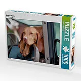 CALVENDO Puzzle Ich fahre mit! 1000 Teile Puzzle quer | 1000 Teile Lege-Größe 64 × 48 cm Foto-Puzzle für glückliche Stunden Spiel