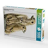 CALVENDO Puzzle Erdmännchen bei der Wache | 1000 Teile Lege-Größe 64x48cm Foto-Puzzle für glückliche Stunden Spiel